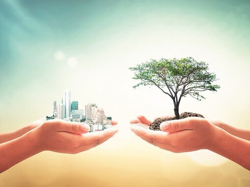 Bảo hiểm trách nhiệm hỗn hợp
