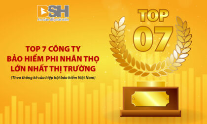 BSH top 7 1