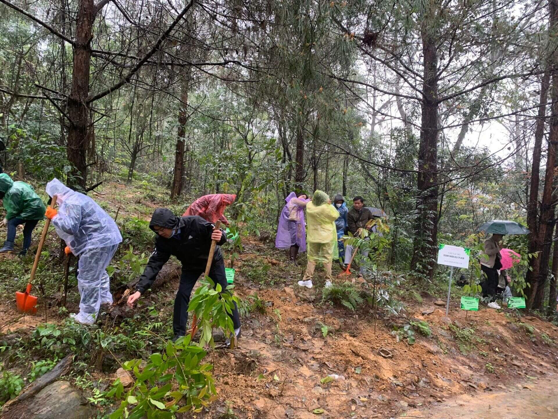 Đại diện Bảo hiểm BSH tham gia trồng cây tại khu vực đền Trung, Vườn Quốc Gia Ba Vì, Xã Quang Minh, Huyện Ba Vì, TP Hà Nội