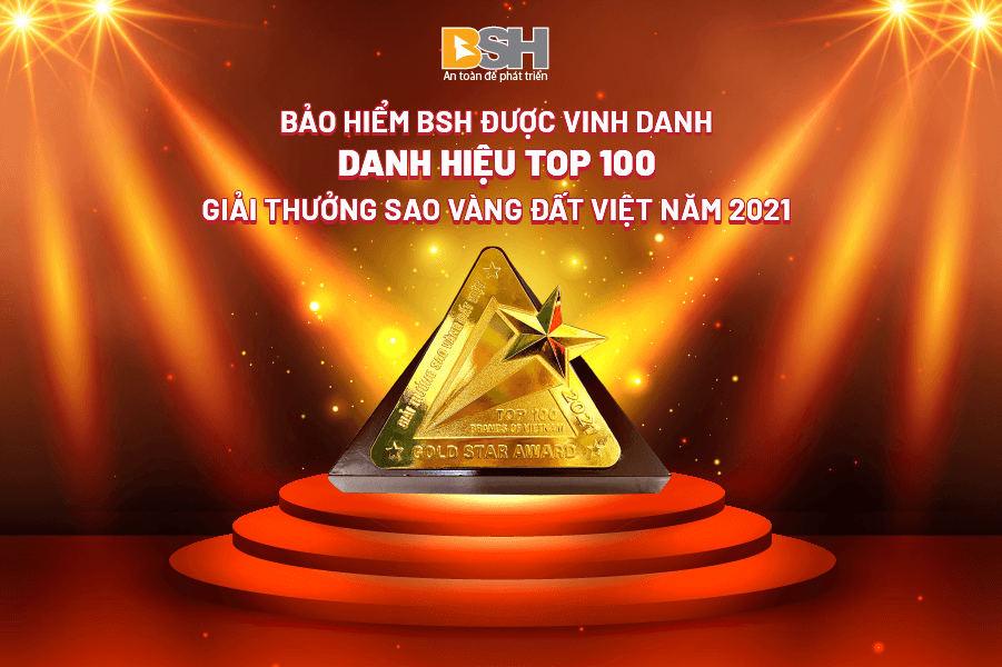 sao vang dat viet banner