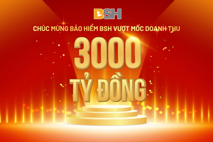 BSH 3000 TY 1