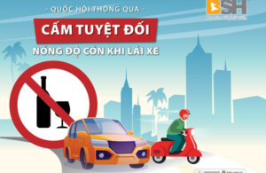 Thummail_Cam-Tuyet-Doi-01
