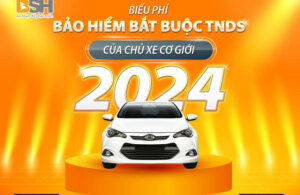 website_Bao-Hiem-TNDS-ngang-03
