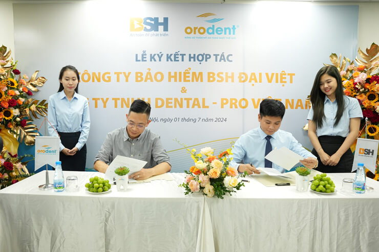 Dai Viet 1