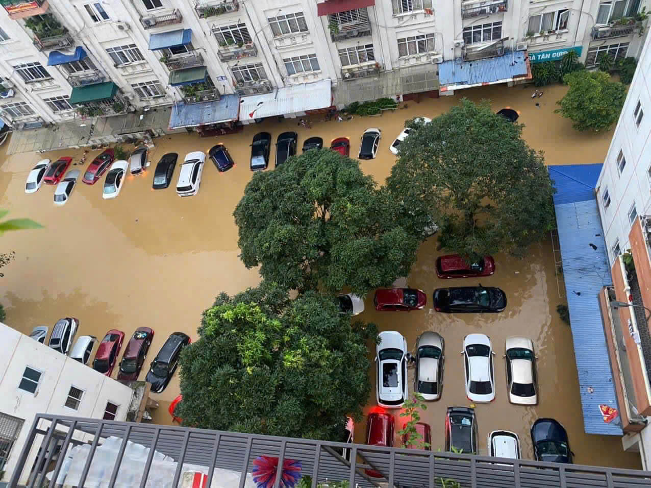 Bảo hiểm BSH bão yagi